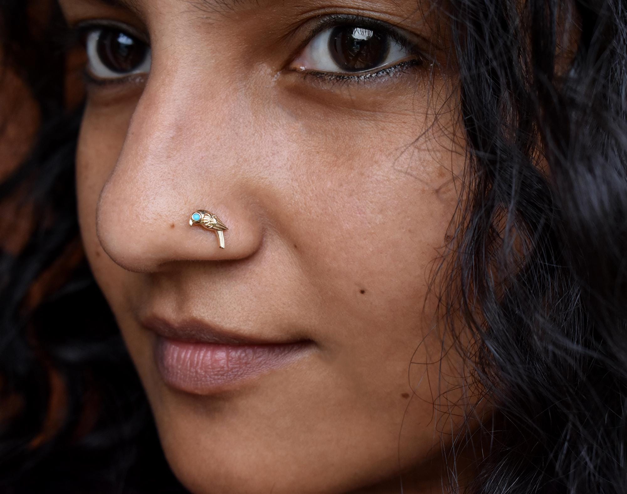 Turquoise Parrot Stud