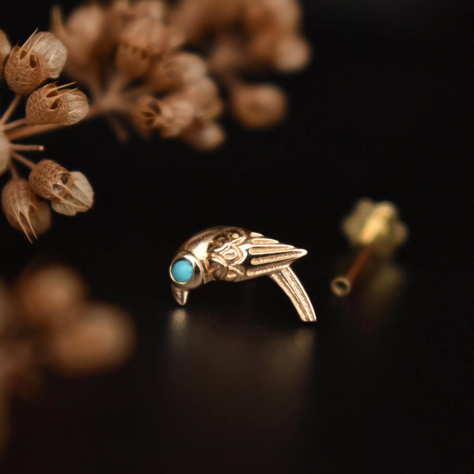 Turquoise Parrot Stud