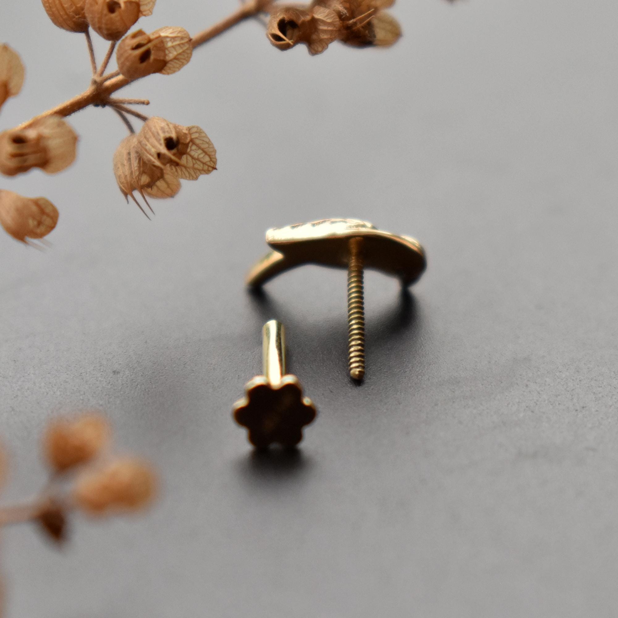 Turquoise Parrot Stud