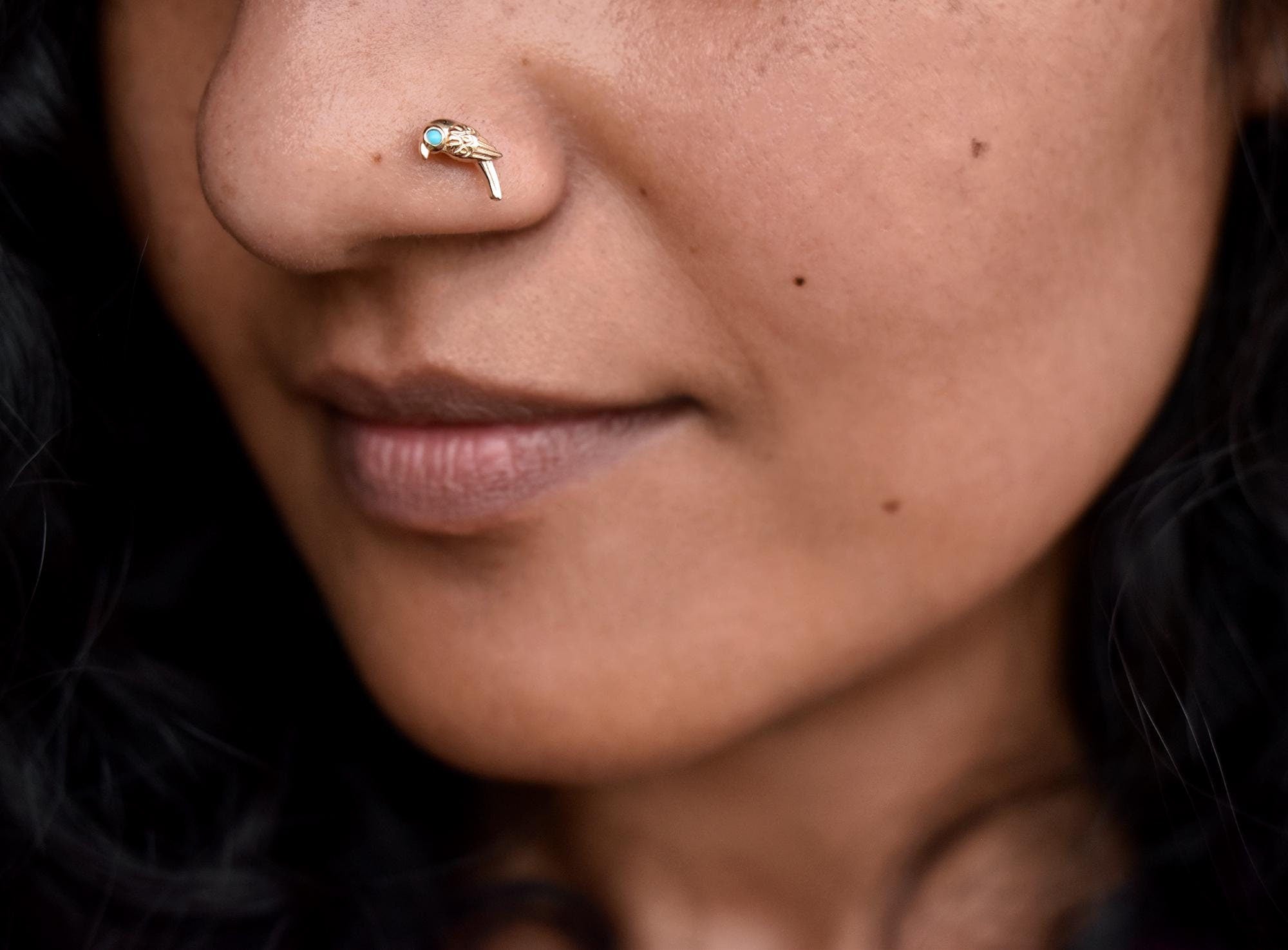 Turquoise Parrot Stud