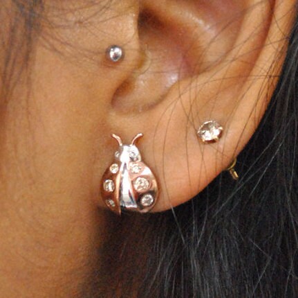 Ladybug Earrings in Sterling Silver, Natural Diamonds Insect Nature Jewelry