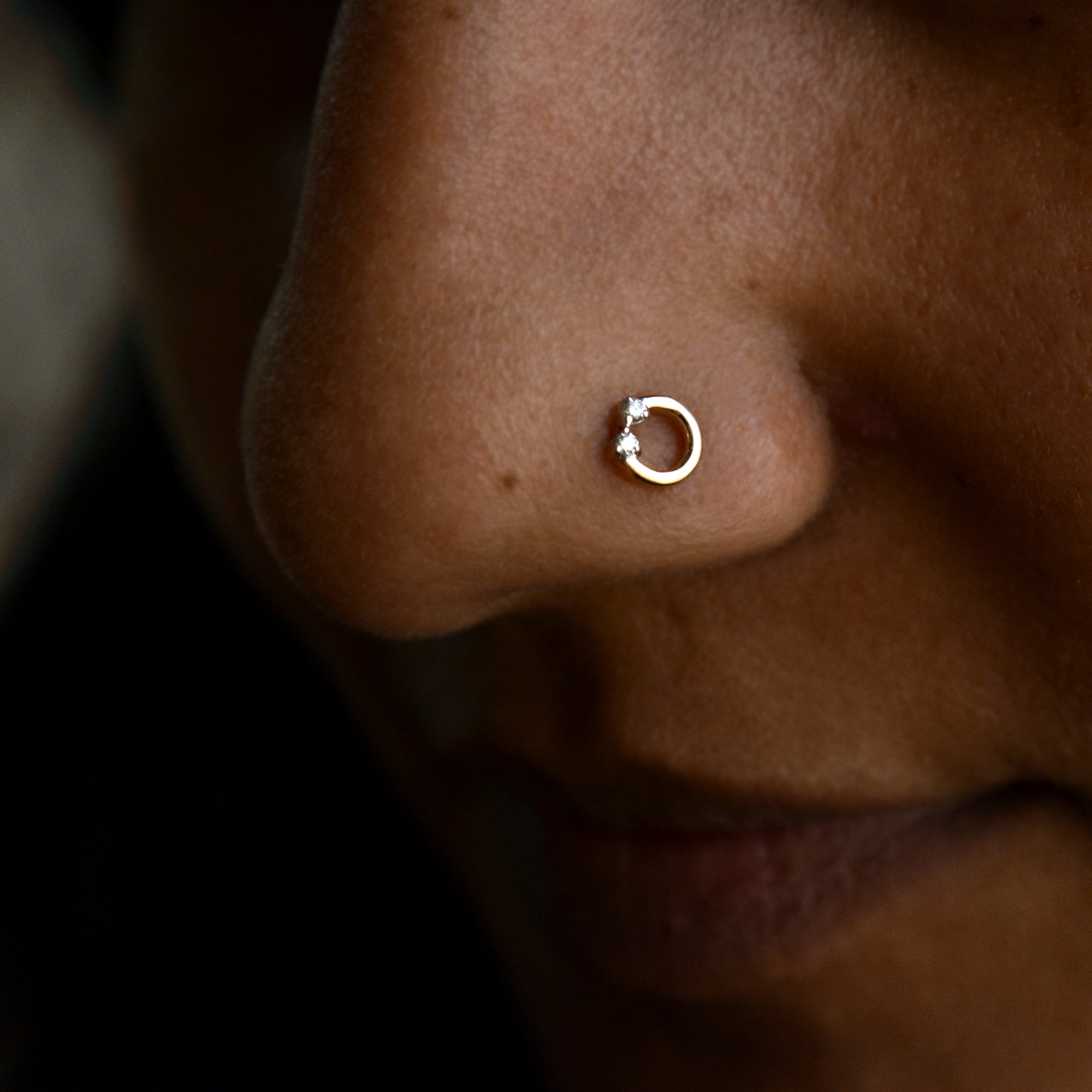 Two Diamond Circular Nose Stud