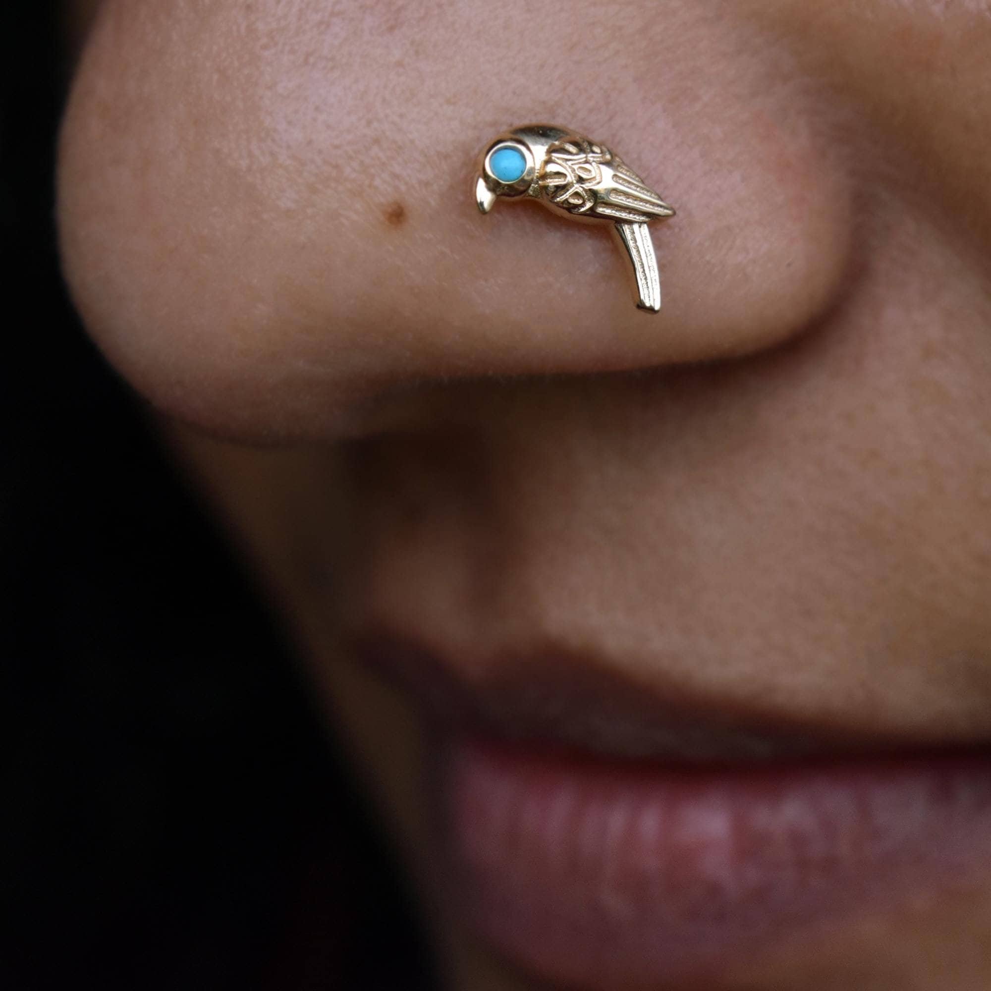 Parrot Stud 14K 18K Solid Gold, Natural Turquoise Bird Nose Pin, 16g 18g 20g Piercing Jewelry, December Birthstone, Spirit Animal Jewelry